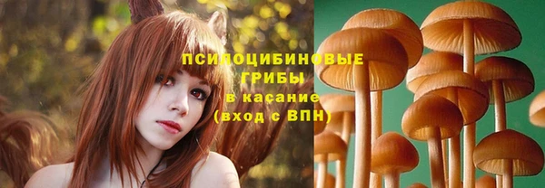крисы Лагань