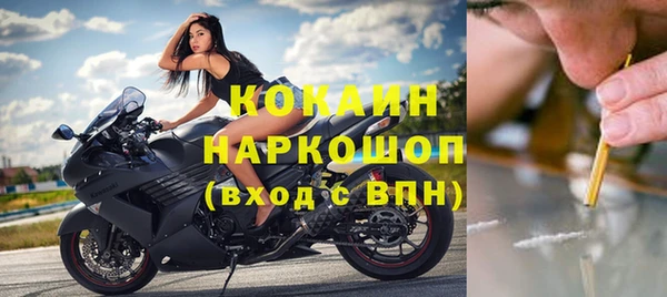 крисы Лагань