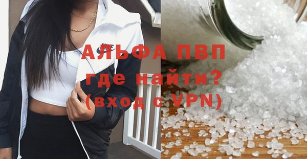 амф Ладушкин