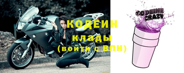 амф Ладушкин