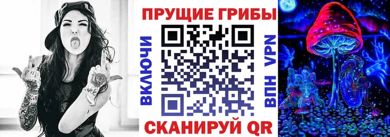 закладки  Талица  Галлюциногенные грибы прущие грибы 